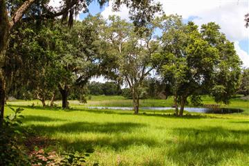 Another Pond on the Farm for Sale